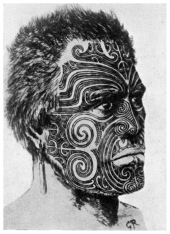 maori tattoo designs think before you ink tatring maori tattoo designs think before you ink tatring