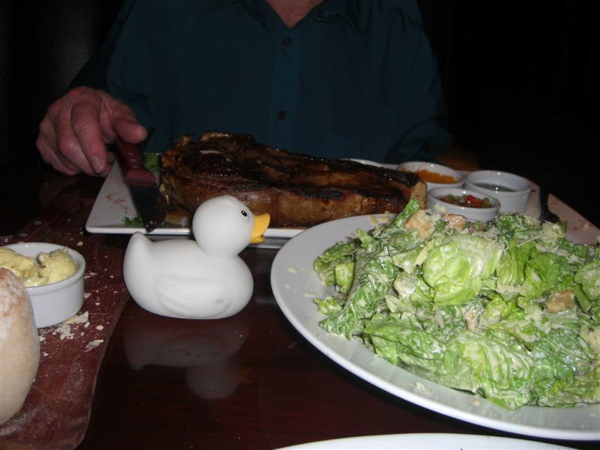 Gemima the duck marvels at the size of this "side dish" of Ceasar Salad!!!