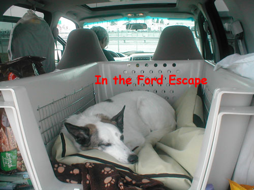 We have now taken 2 trips across 5 provinces, thousands of miles in great comfort, kennel and all