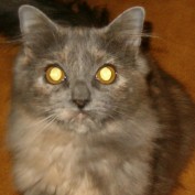 Aponi profile image