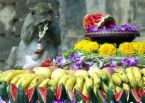 Lopburi Monkey Festival in Thailand