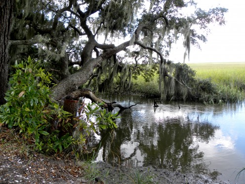 Georgia marsh as seen from Jekyll Island