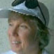 FreedomScribe profile image