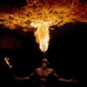 Josh Adams profile image