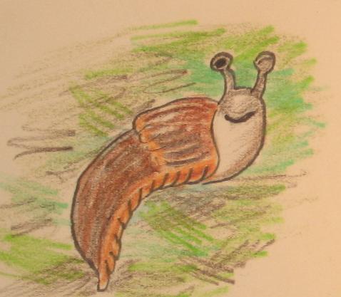 The Charming Sluggie