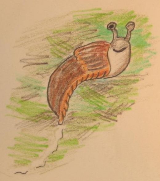 Just a free ramblin' slug.