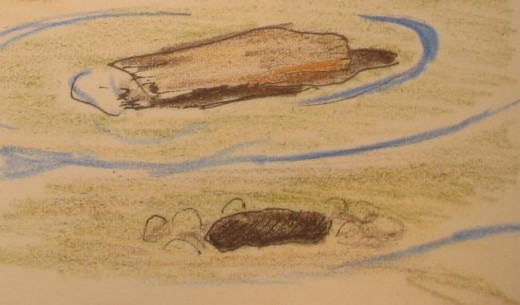 The Capsized Boat