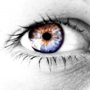 silenteyes profile image