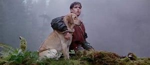 Angus and Yellow trying to survive. Scene from "Far From Home (The Adventures of Yellow Dog)"