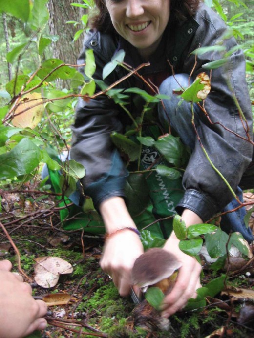 Expert capturing a particularly fine Boletus Mirabilis - the Miraculous Bolete Mushroom.