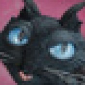 dreamrider profile image