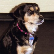 Jean Kelly profile image
