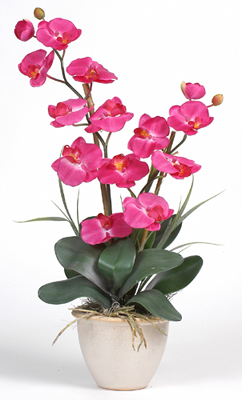Silk Orchid Flowers and plants from QualitySilkPlants.com