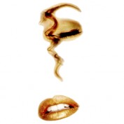 dphillips profile image