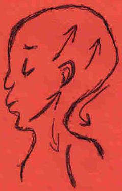 Cheek bone: GENTLE and slowly stroke from the chin to the ears and from the base of the head to the shoulders, and chest. 