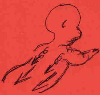 Back:  Lay your baby on their stomach and GENTLE start massaging in a circular downward motion towards the heel of the foot. Starting from the back of the head using your finger tips, gently place your fingers over the spinal area, but DO NOT MASSAGE