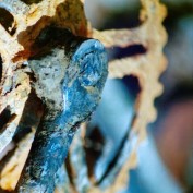 Rusty Cog profile image
