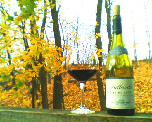 If you want a red wine with lots of muscle that won't throw your tongue into fisticuffs try Belleruche Cotes-Du-Rhone.