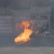Stunt Drivers show at Movie World 1 Stunt Drivers show at Movie World 1