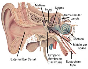 Ear Pain 