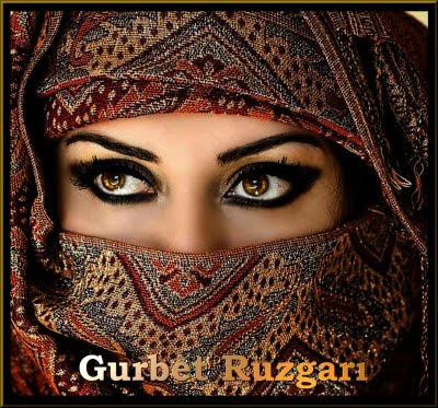 The women's pictures in this hub belong to Gurbet Ruzgar&Auml;&plusmn;. (Thank you very much Mr. Ruzgari!)