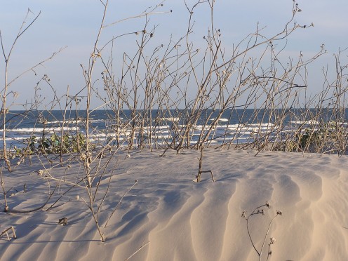 Dunes and waves.