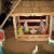 Christmas cribs Christmas cribs