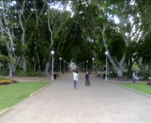 Parks in Sydney are very popular for walking.