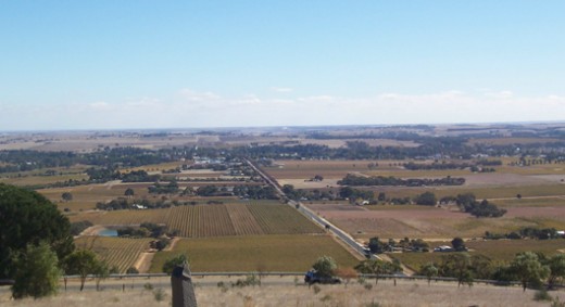 Tanunda in the Barossa Valley, viewed from Mengler's Hill. Vineyards in Autumn Source: Scott Davis - photographer / Wikipedia 