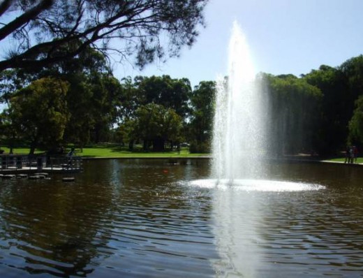 King's Park situated in Perth Australia 