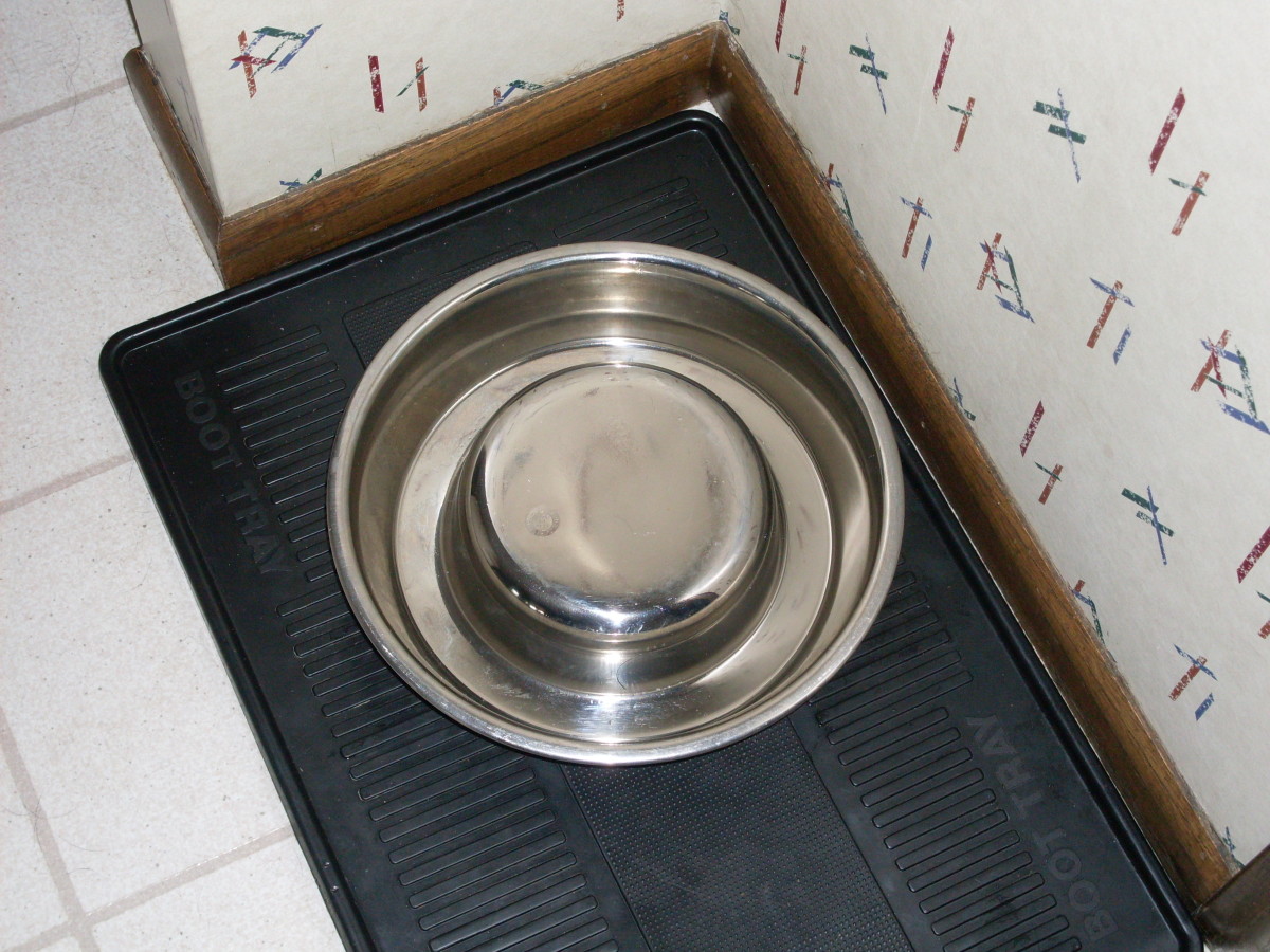 Upside down dog dish.