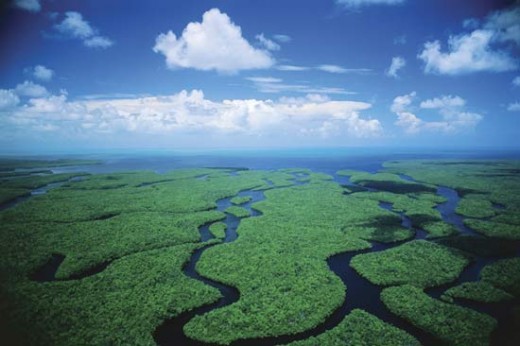 Everglades National Park waterways