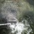 manatee drinking water manatee drinking water