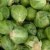 Sprouts Sprouts
