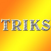 TRIKS profile image
