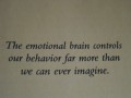 You Want Pancakes And Eggs With That Bipolar Brain