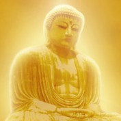 buddha1200 profile image