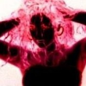anniehege profile image