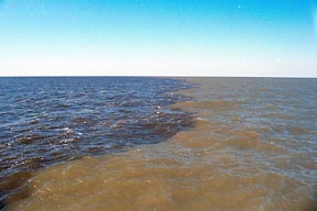 Sediment from the Mississippi River carries fertilizer to the Gulf of Mexico - Courtsey Wikipedia Image : NASA