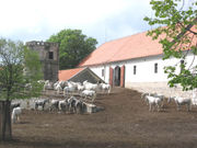 The original Stables in Lipizza that I visited as a Teenager