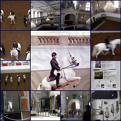 Views of the Vienna stables.