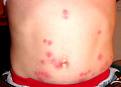 Night, night, sleep tight, hope the bed bugs don't bite!            photo why6percent.com