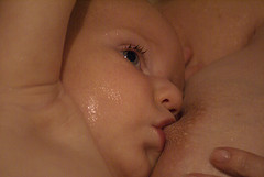 Photo: viralbus, Flickr