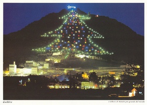 Worlds Tallest Christmas Tree