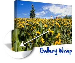 canvas photo free print