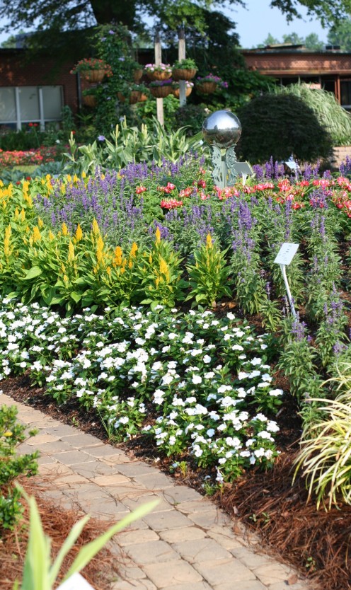 Courtesy Of www.parkseed.com