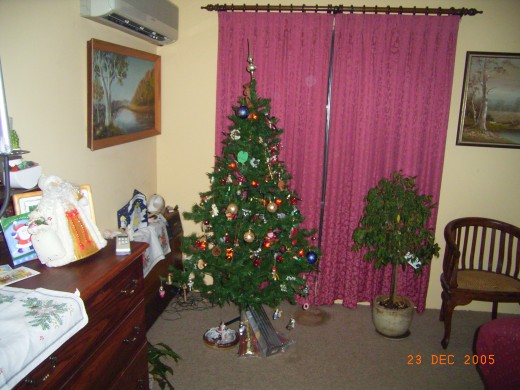 Our usual Christmas tree to remind us of real pine trees growing wildly where we come from.