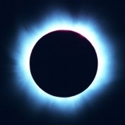 Ogg Bloggs profile image