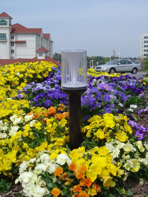 Post lights like this one can add to the beauty of any garden.