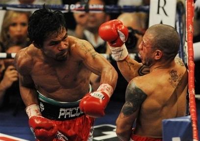 Manny Pacquiao throwing a menacing left handed punch against hapless Miguel Cotto.